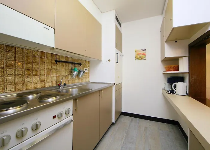 Ringstrasse 312 By Interhome * ロイカーバード